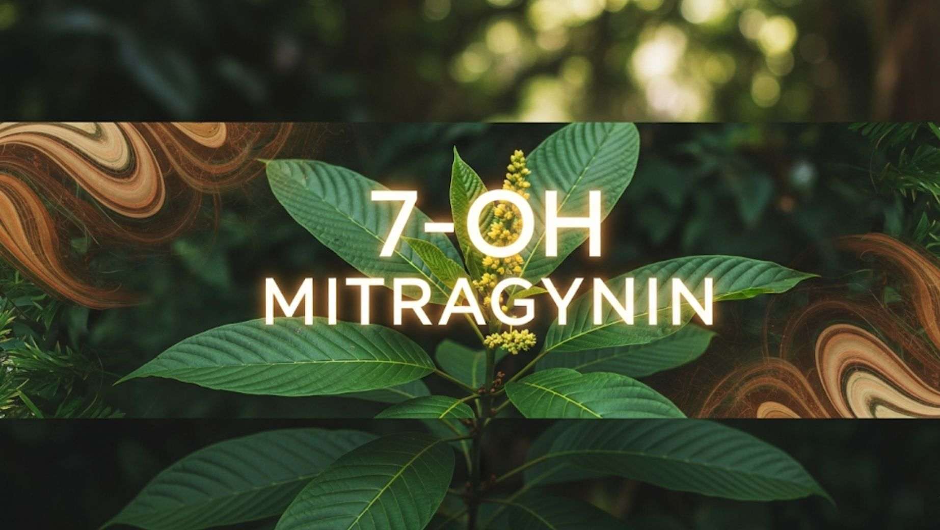 Was ist 7-OH Mitragynin?