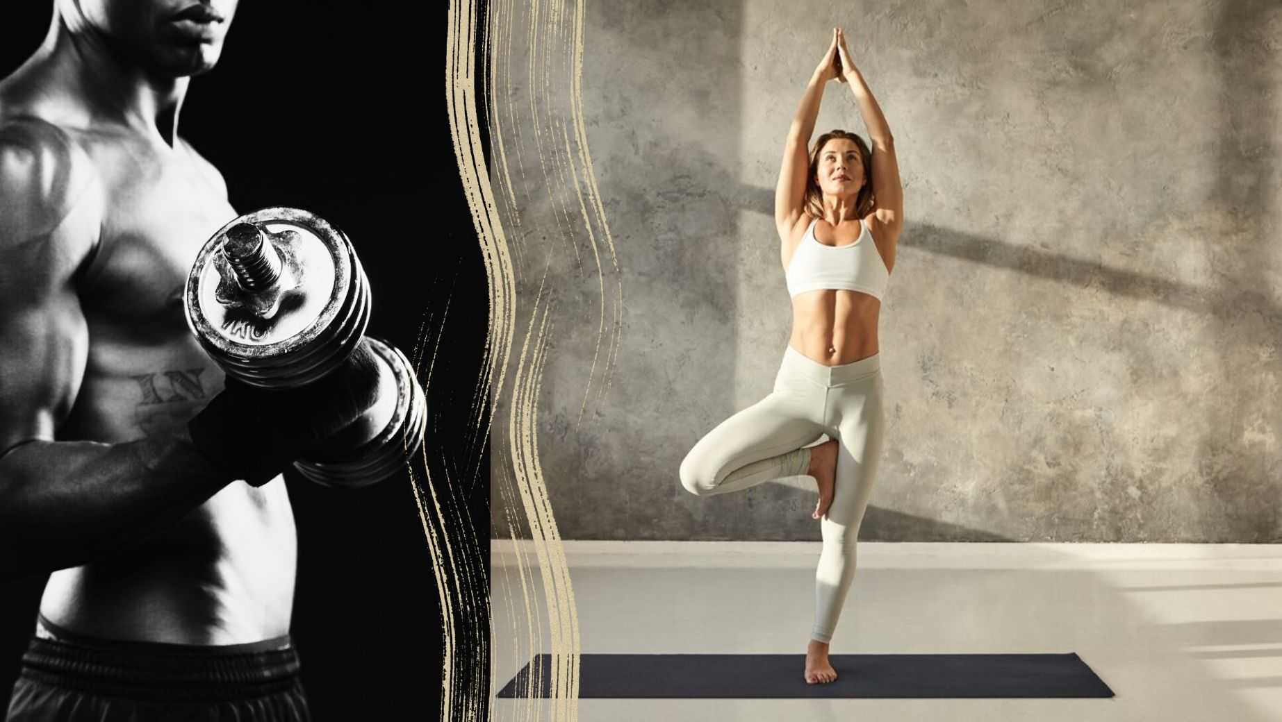 Jakie są najlepsze aminokwasy na regenerację?