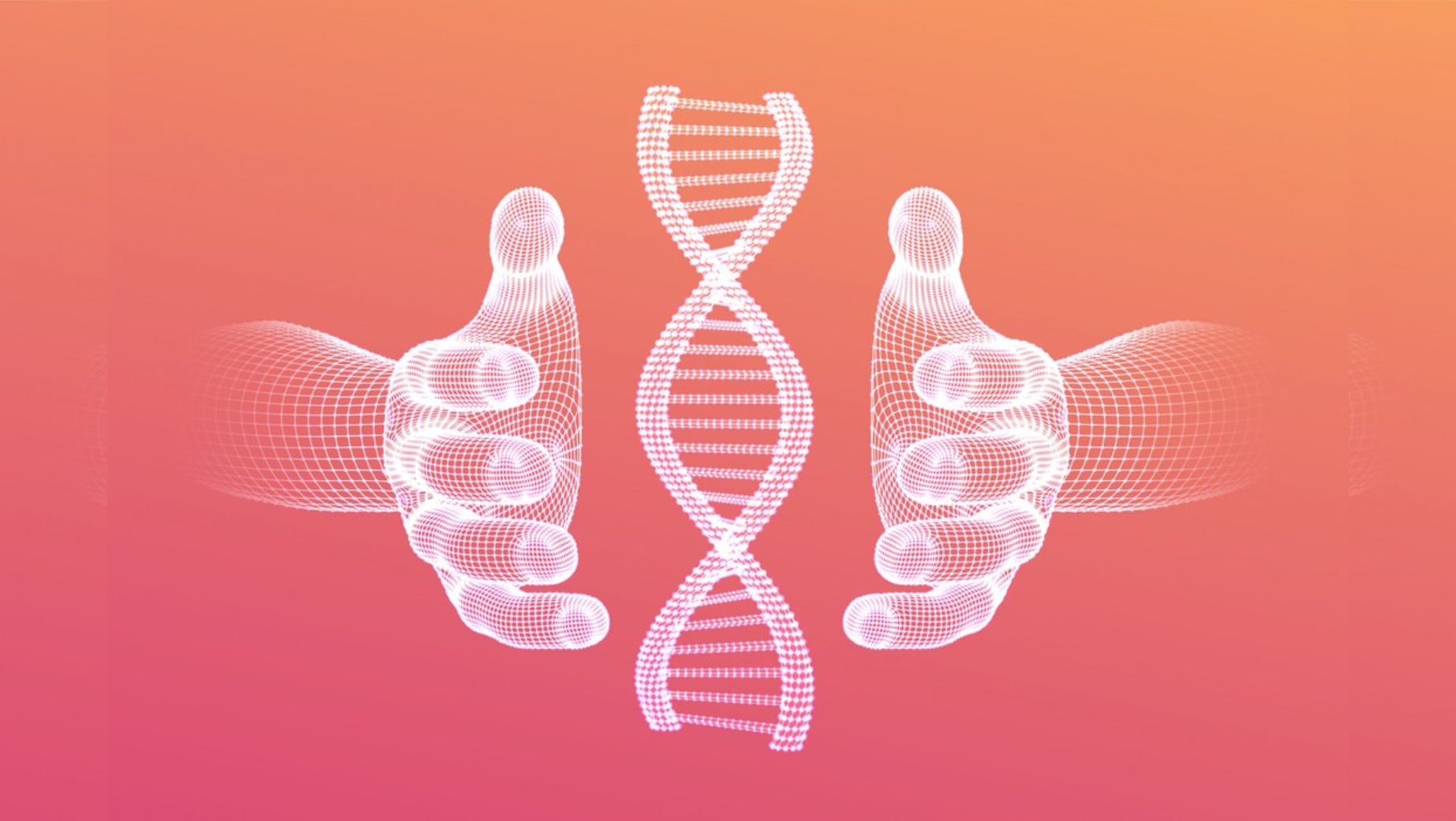 Spermidyna: Klucz do długowieczności i regeneracji komórek