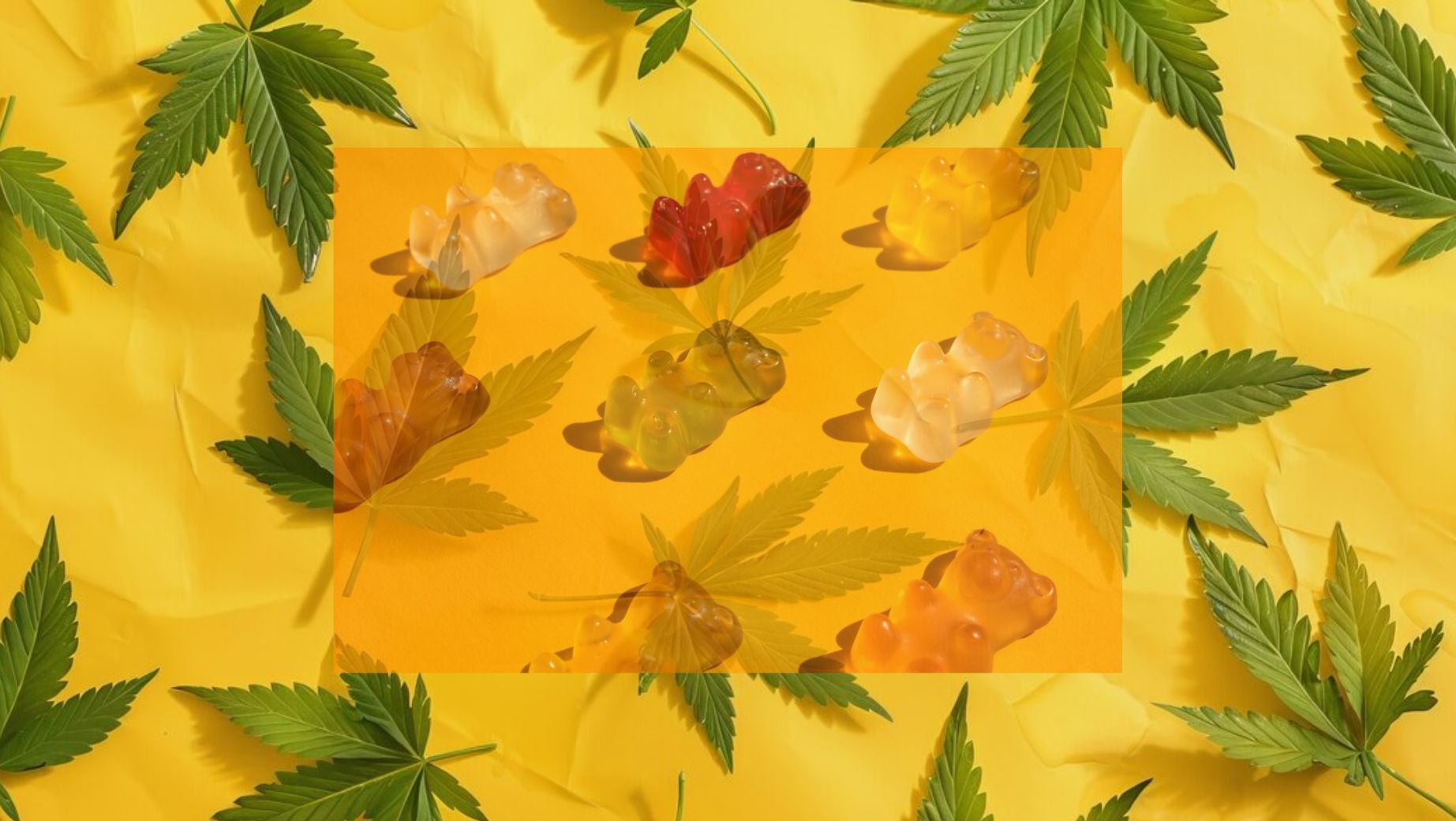 Miért szüntették meg a HHC gumicukrok forgalmazását?