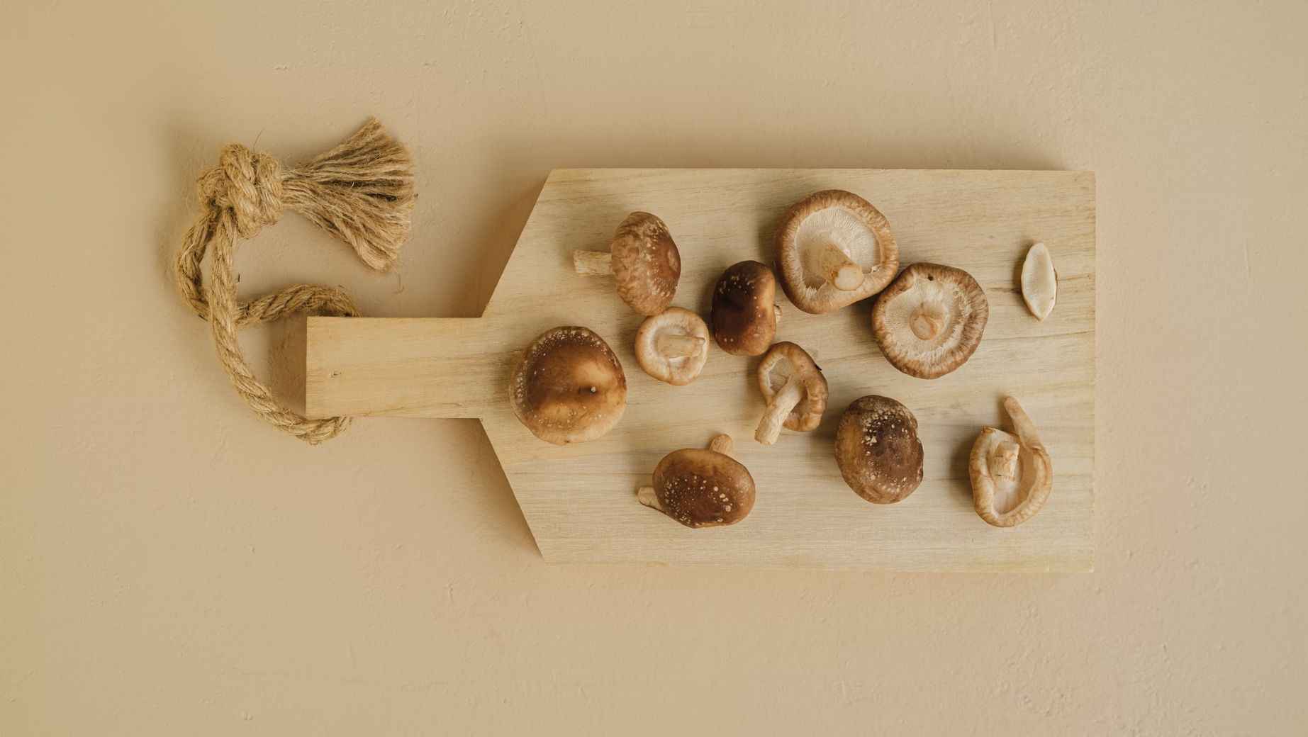 Shiitake - natürlicher Heiler für Langlebigkeit