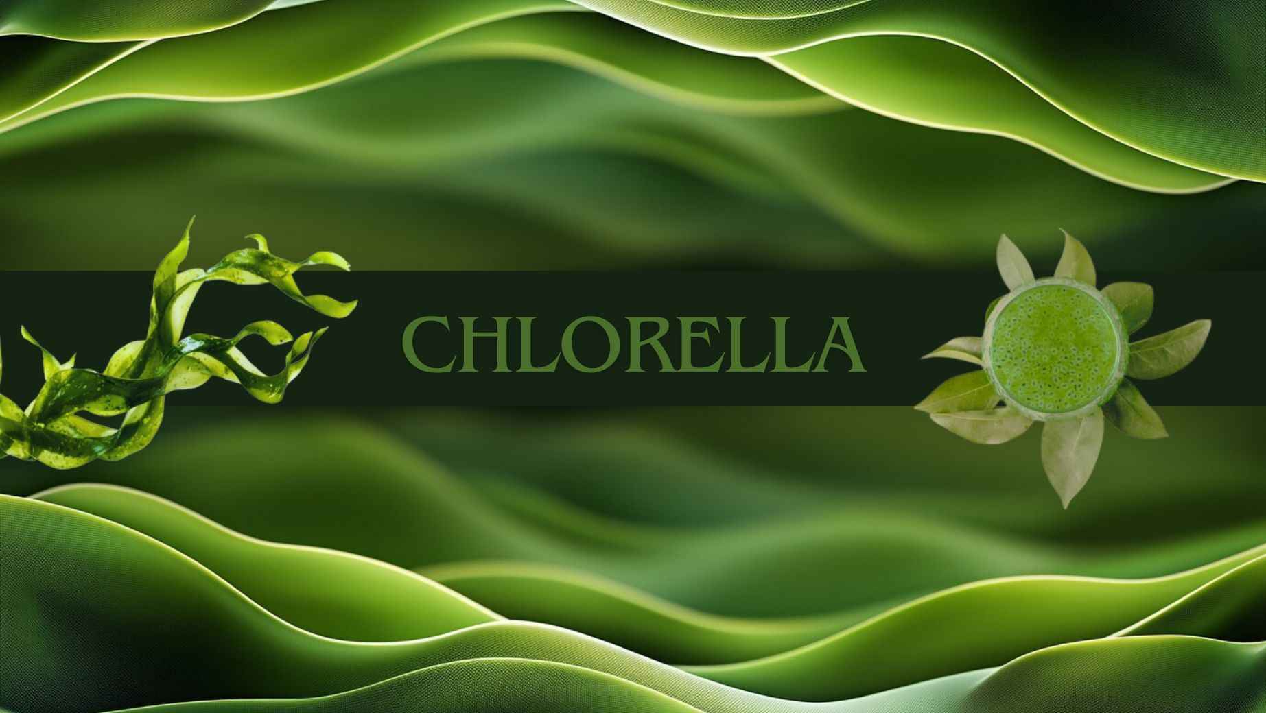 3 Hauptgründe für die Einnahme von Chlorella