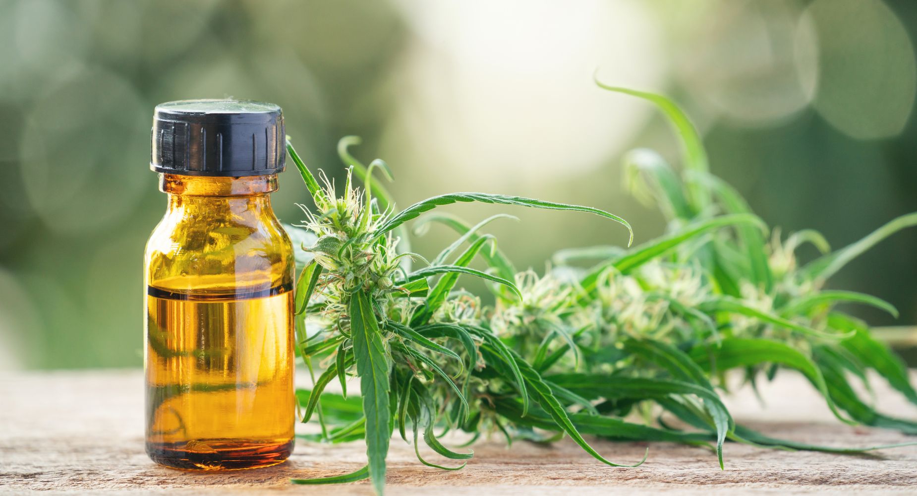 Co to jest HHC i dlaczego zyskuje popularność