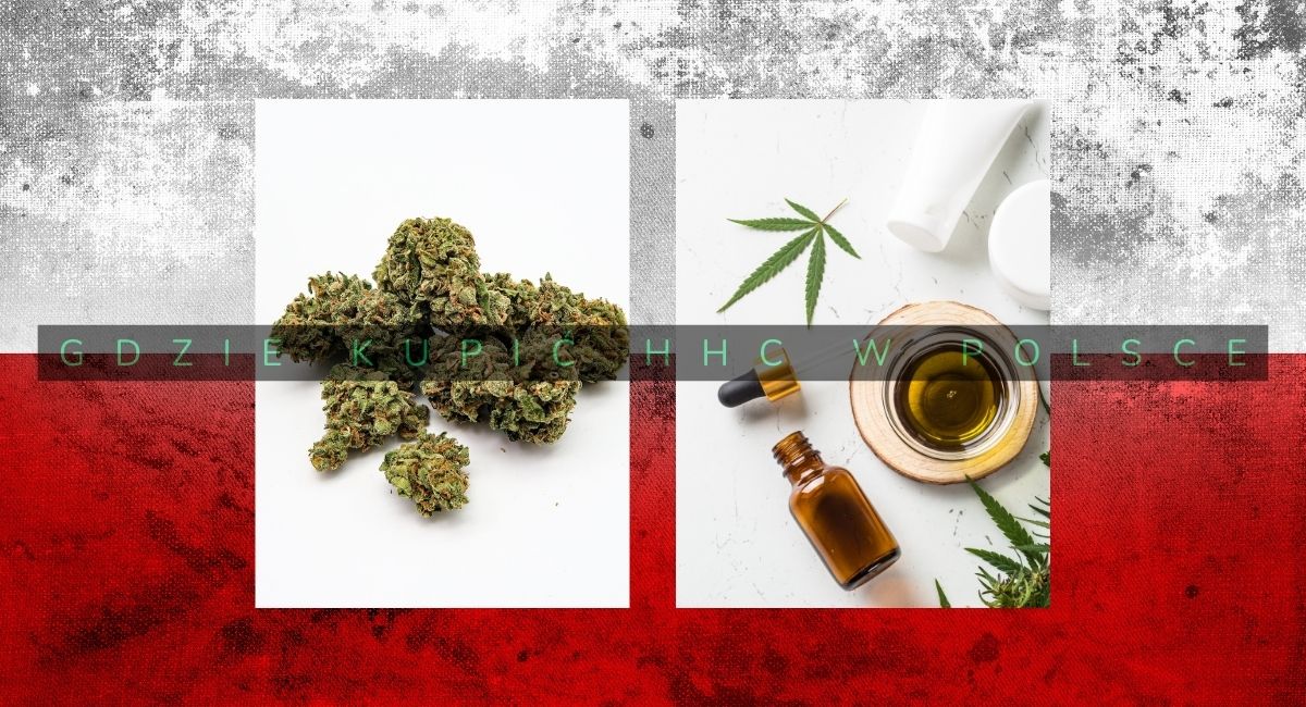 billig vape Gdzie kupić HHC w Polsce?