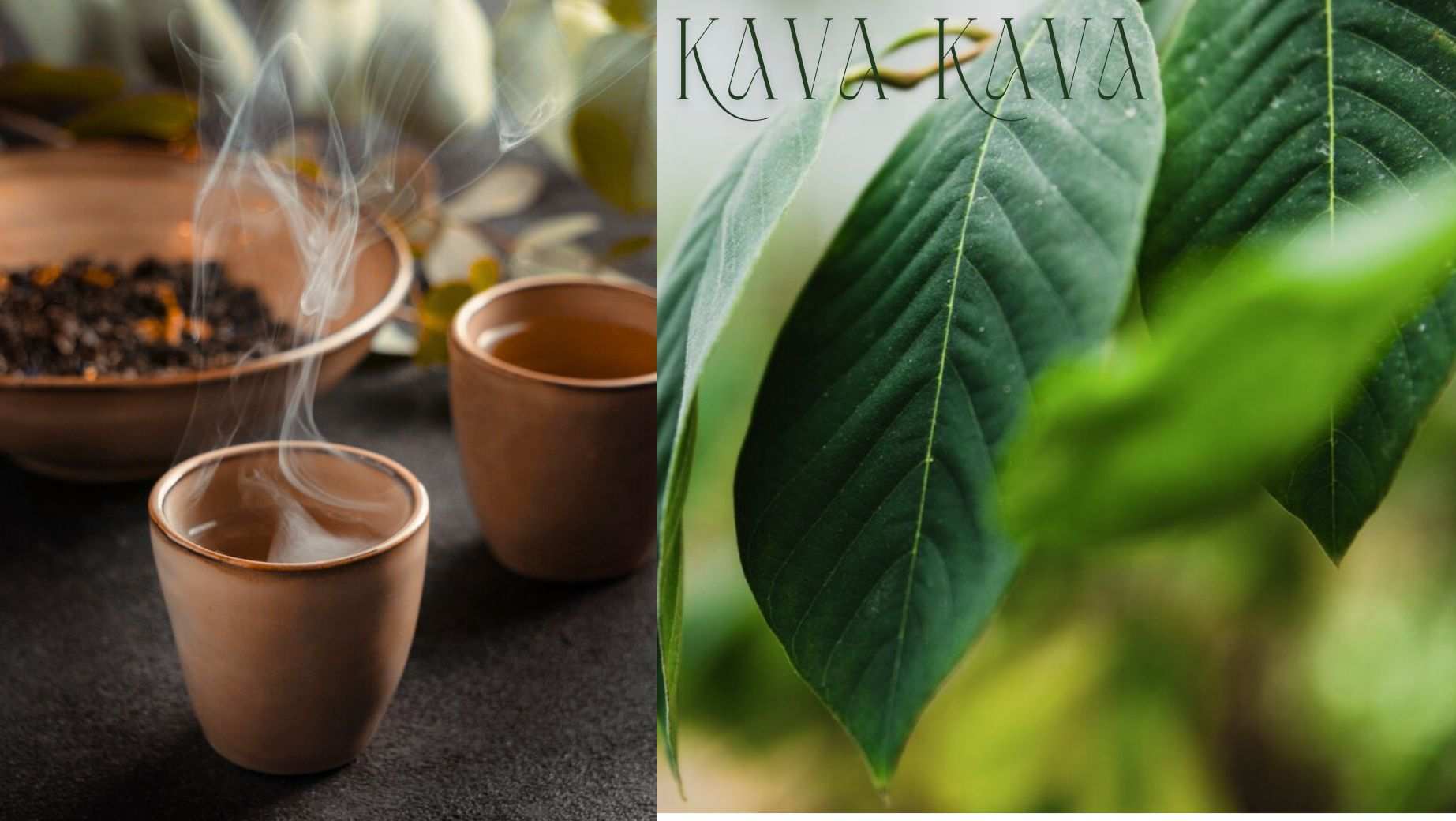 Was ist Kava Kava und welche Wirkung hat es?
