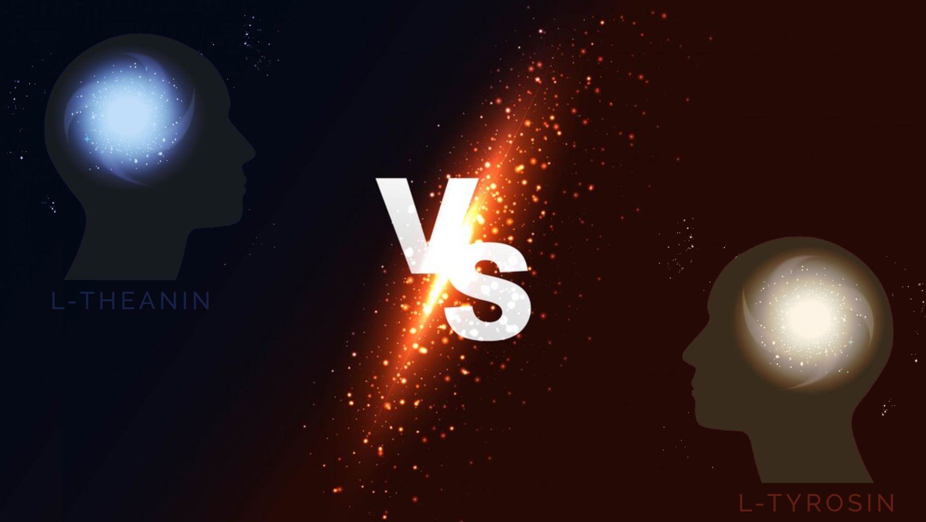 Mi a különbség az L-Theanin és az L-Tyrosin között?
