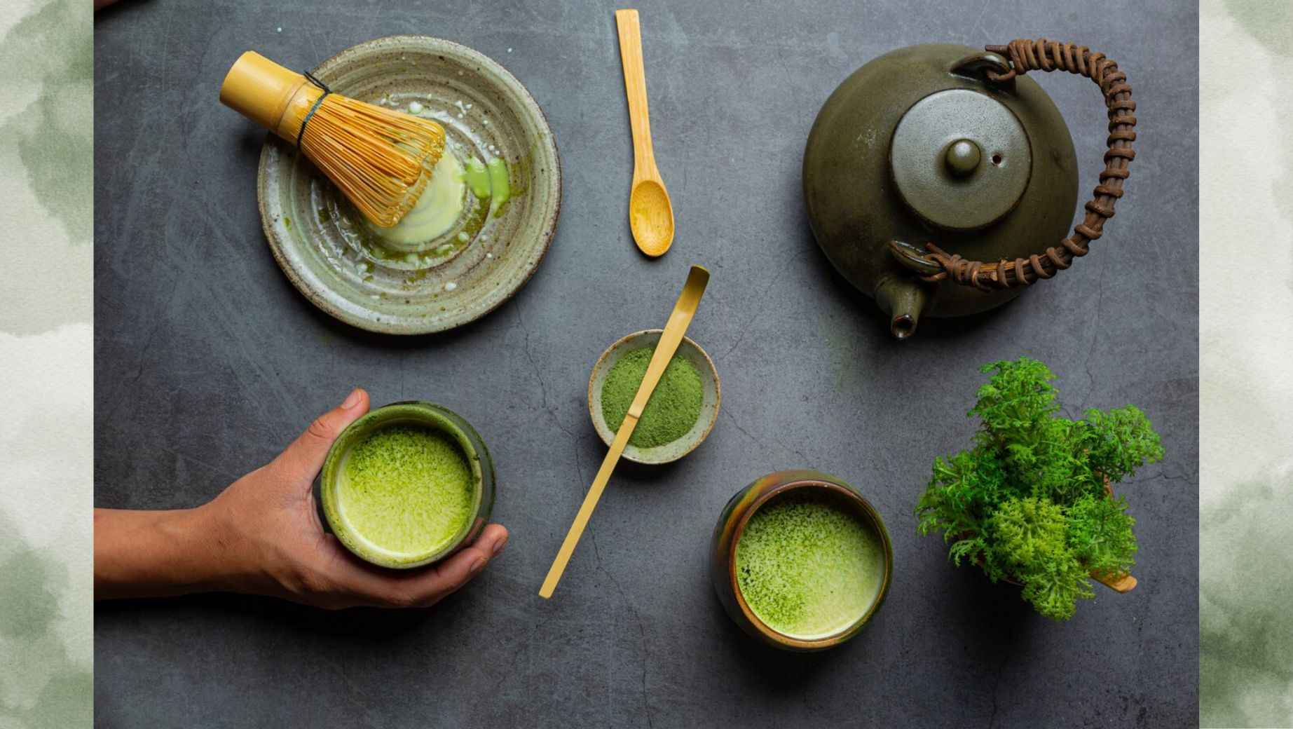 Czym jest Matcha i dlaczego jest tak popularna?