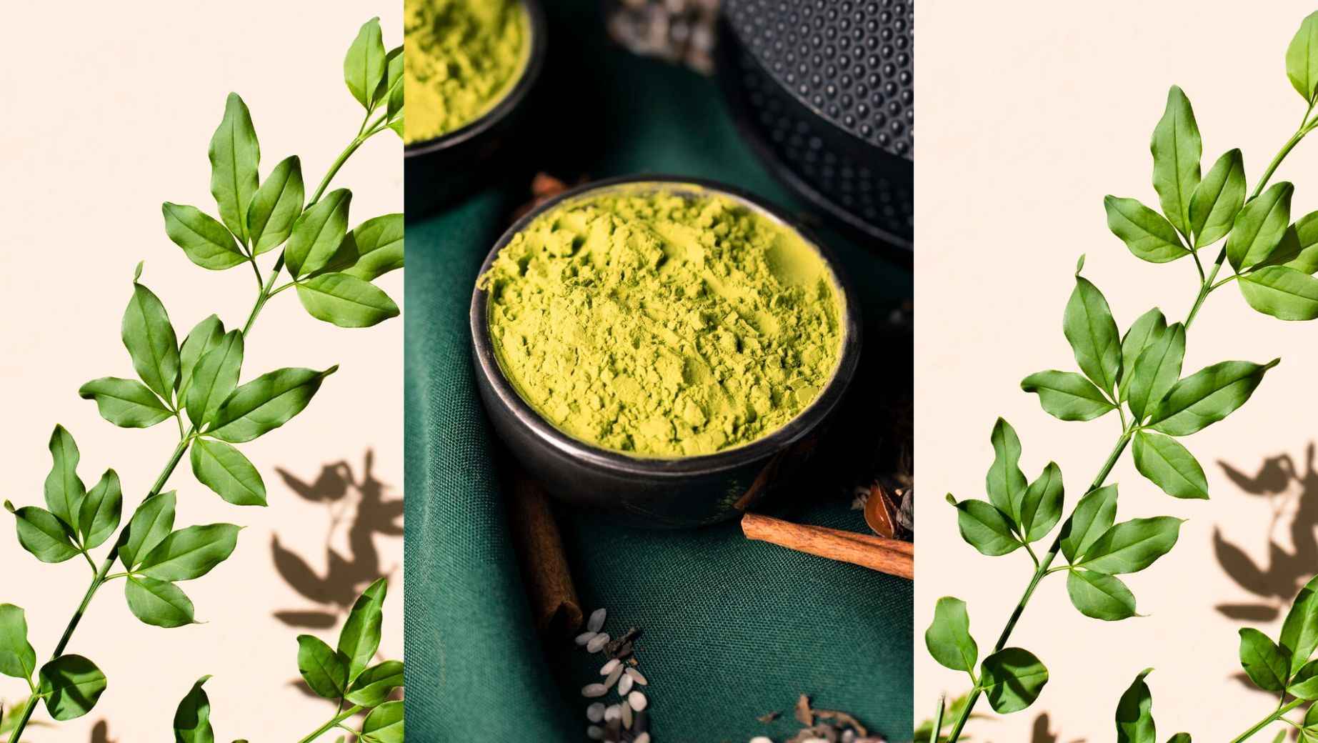 Milyen hatásai vannak a Moringának?