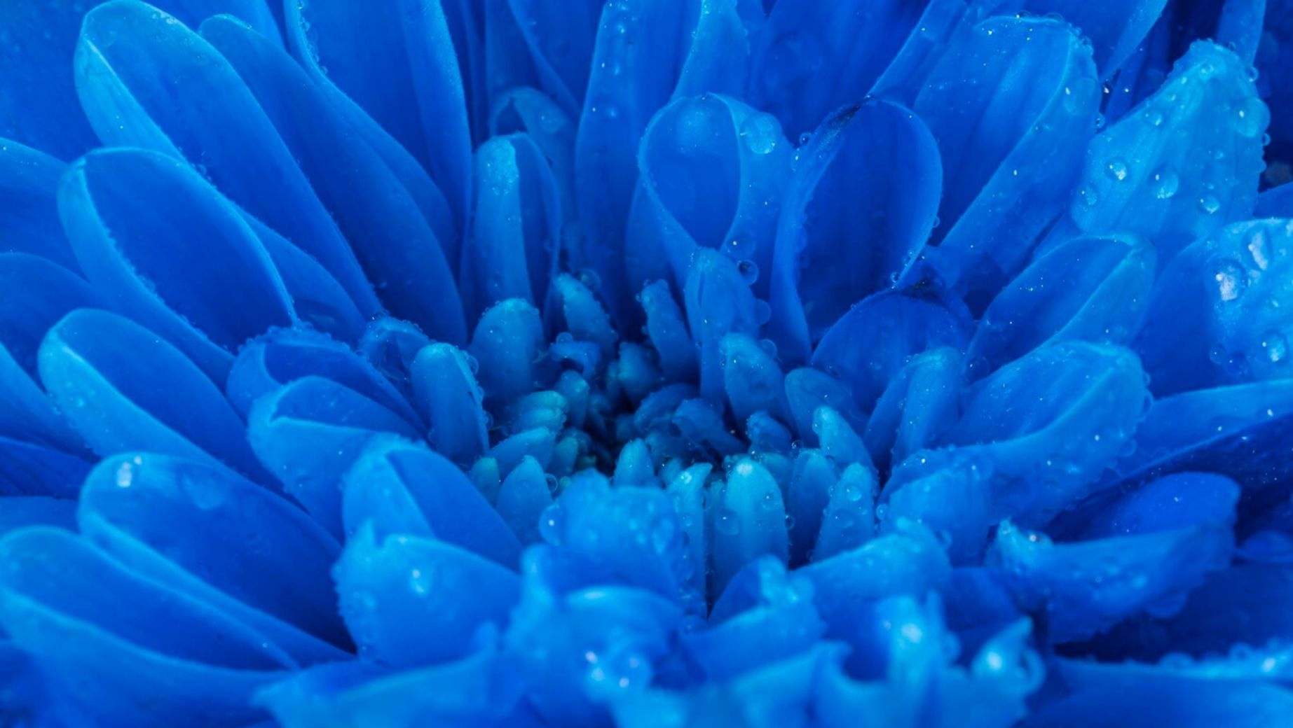 Mi az a Methylene Blue és mik a hatásai?