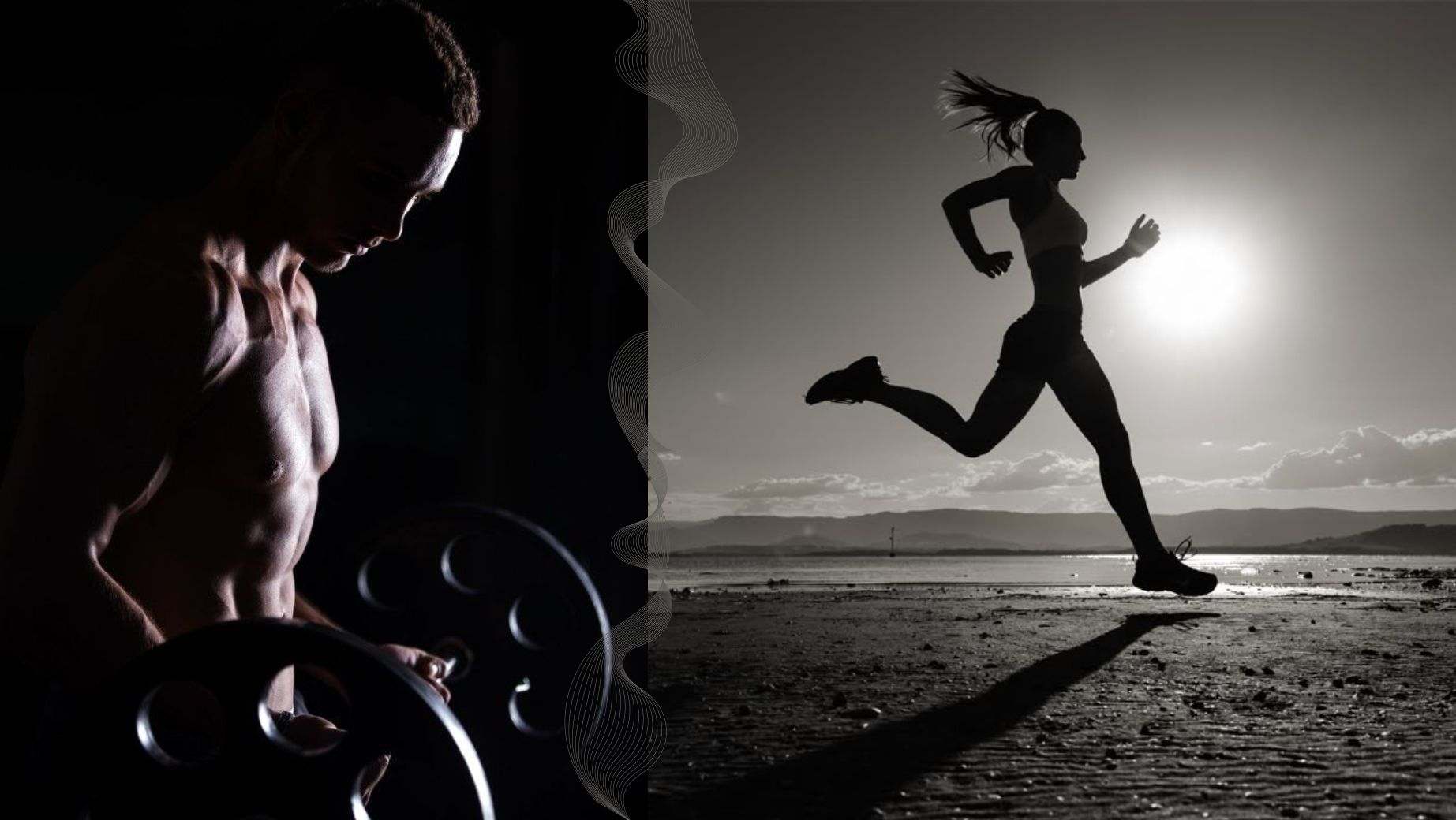 Melyik az leghatékonyabb aminosav?