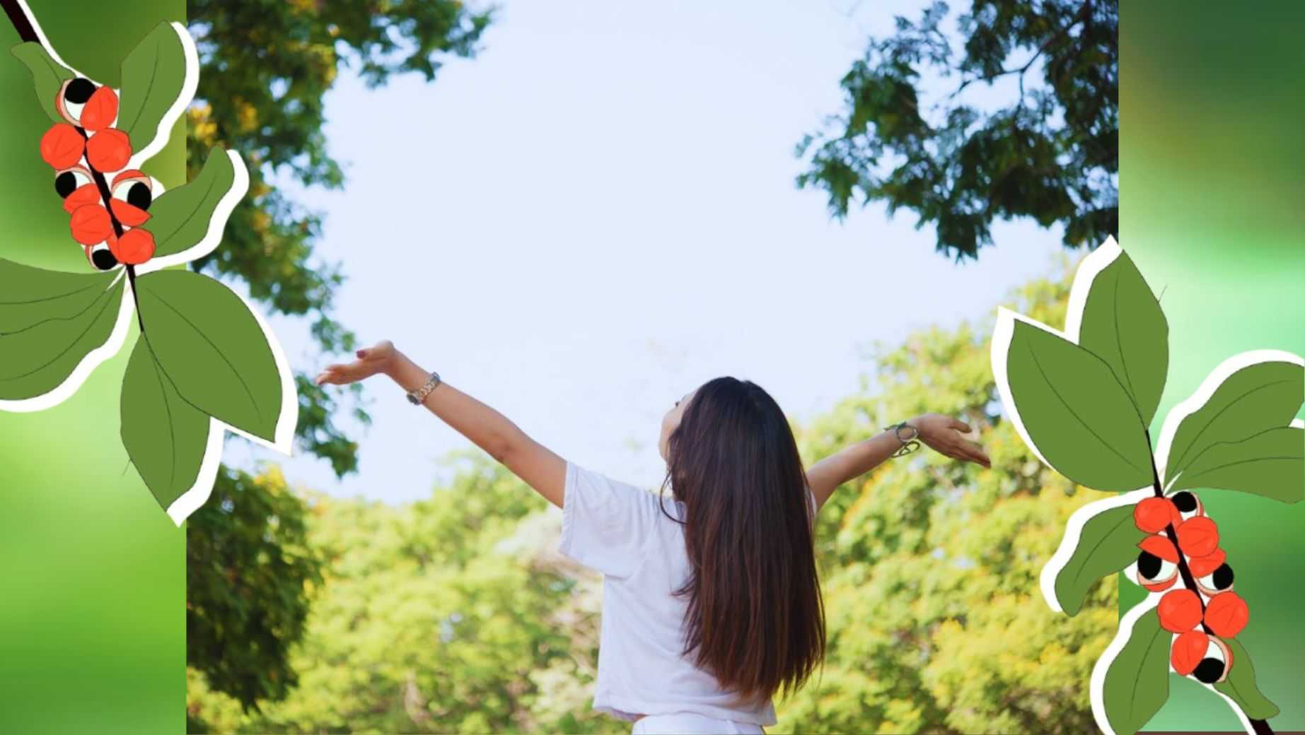 Was macht Guarana-Extrakt?