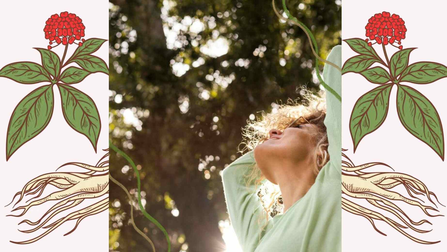 Was sind die Auswirkungen von echtem Ginseng auf den Körper?