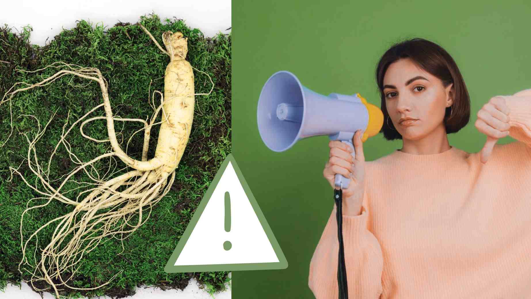 Kinek nem ajánlott az ázsiai ginzeng fogyasztása?