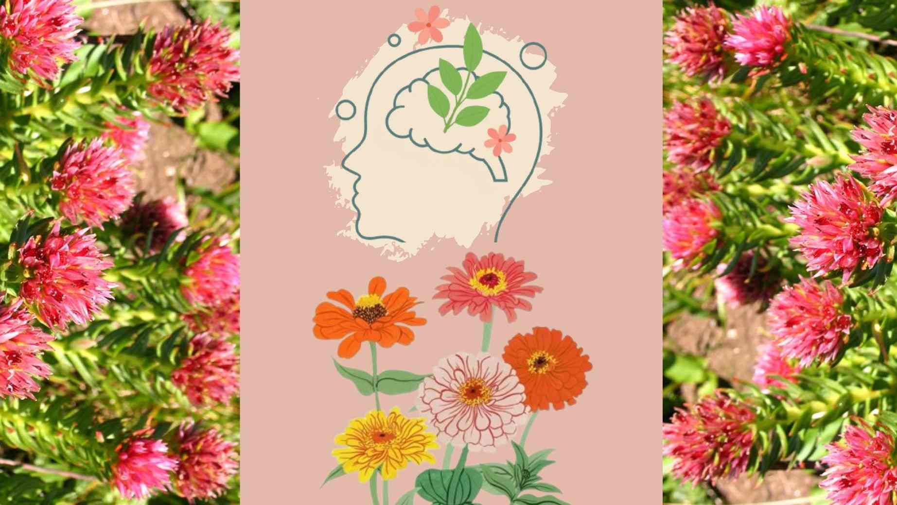 Was ist Rhodiola und welche Wirkungen hat sie?