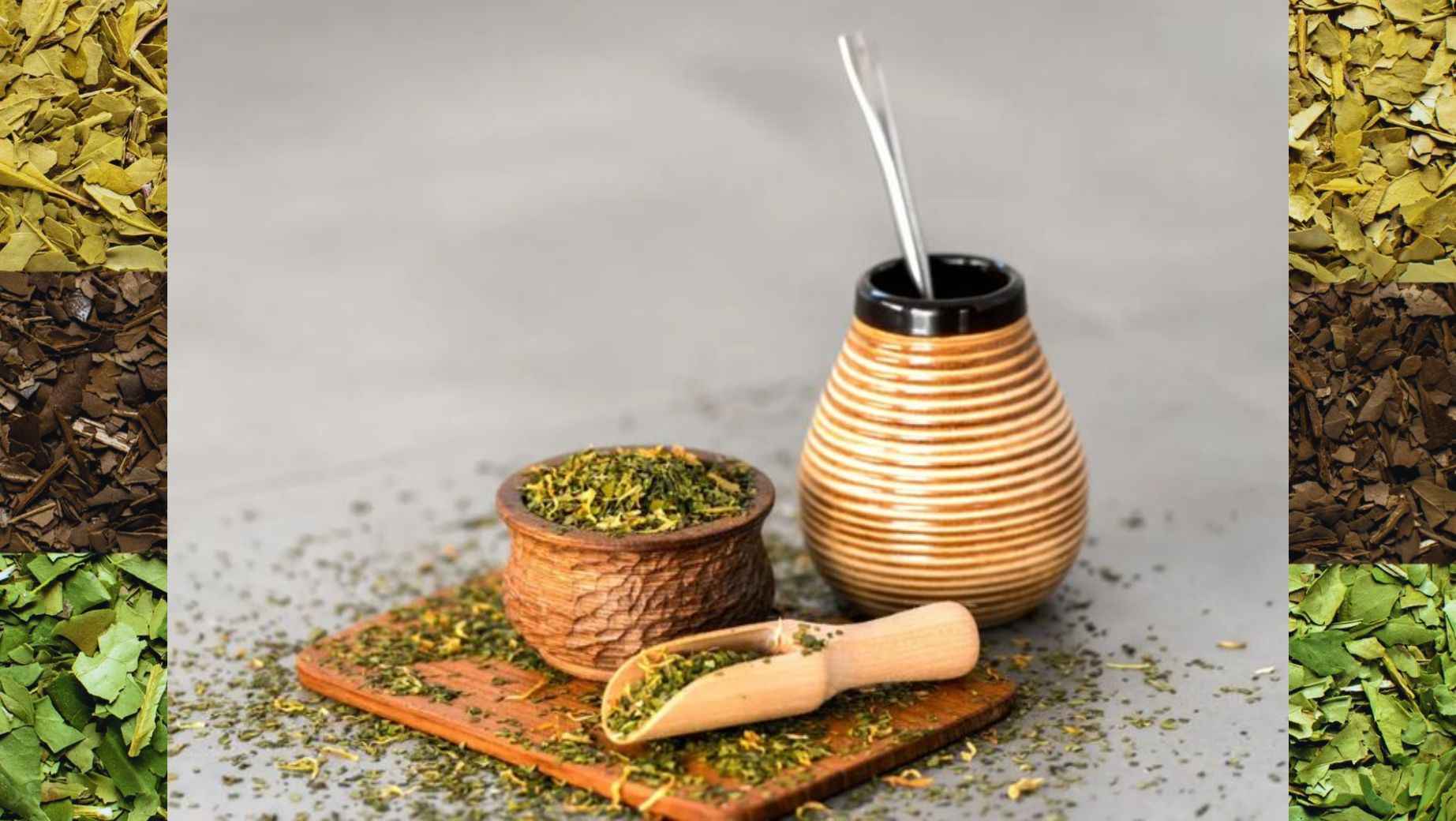 Wie viel Yerba Maté pro Tag und wie viel Koffein ist darin?